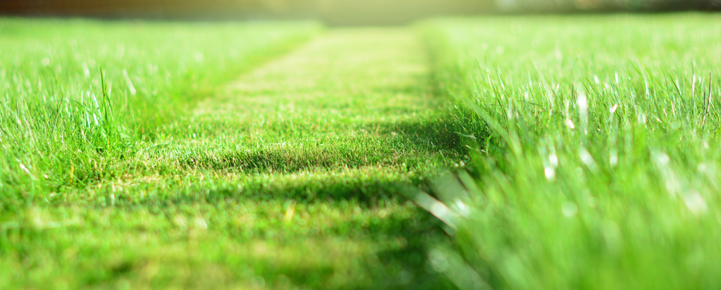 April Garden Guide & Landscaping Tips