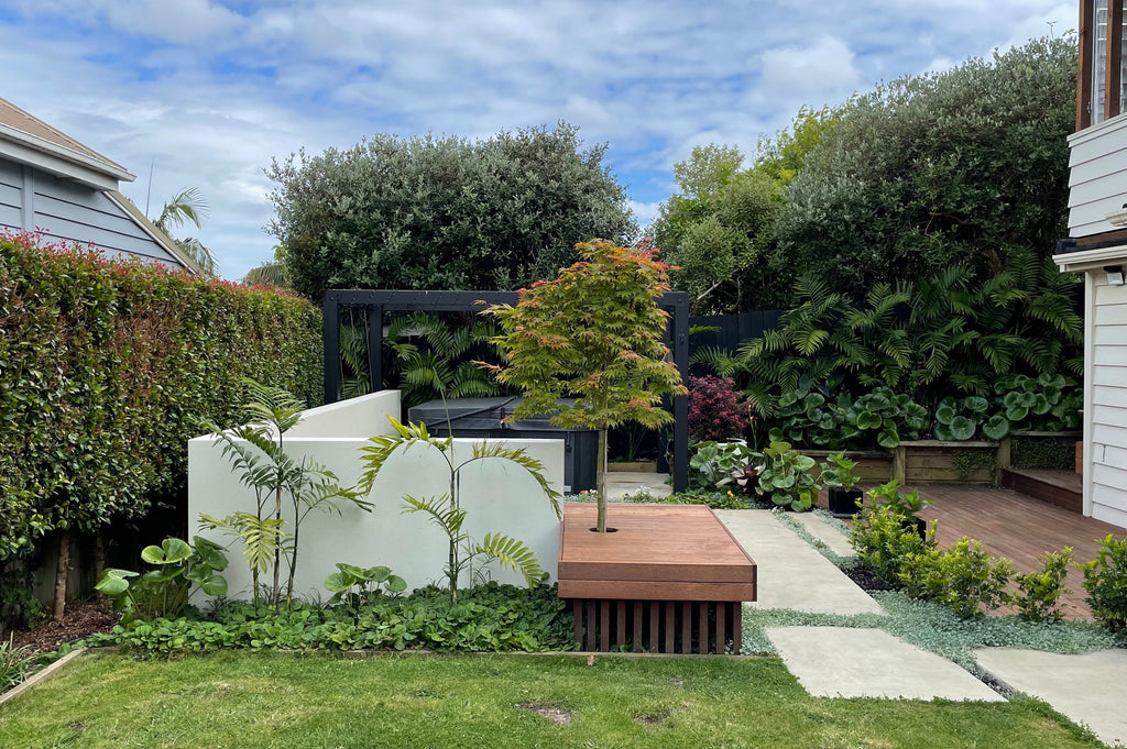 Urban Flora's Backyard Sanctuary