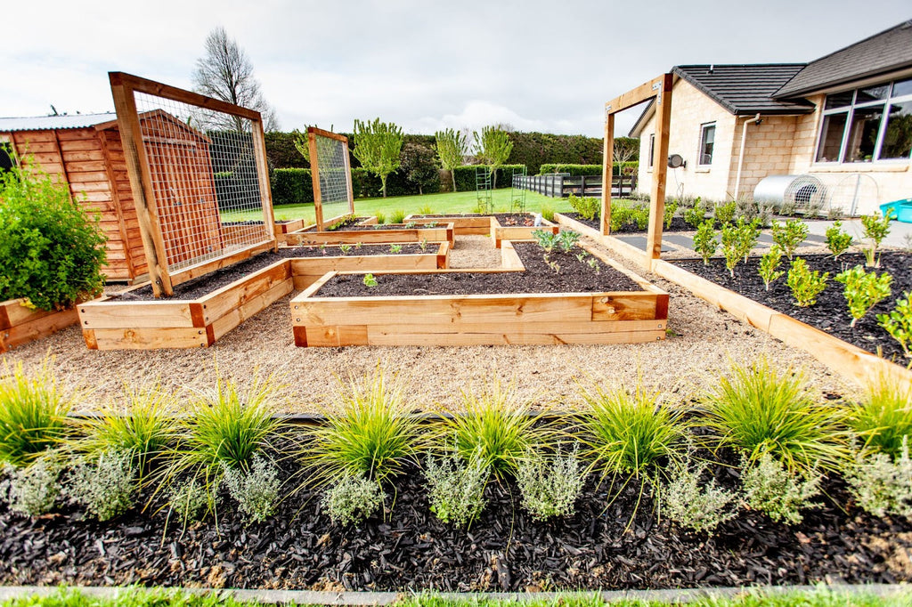 A Tamahere Transformation by Groundcover Landscaping