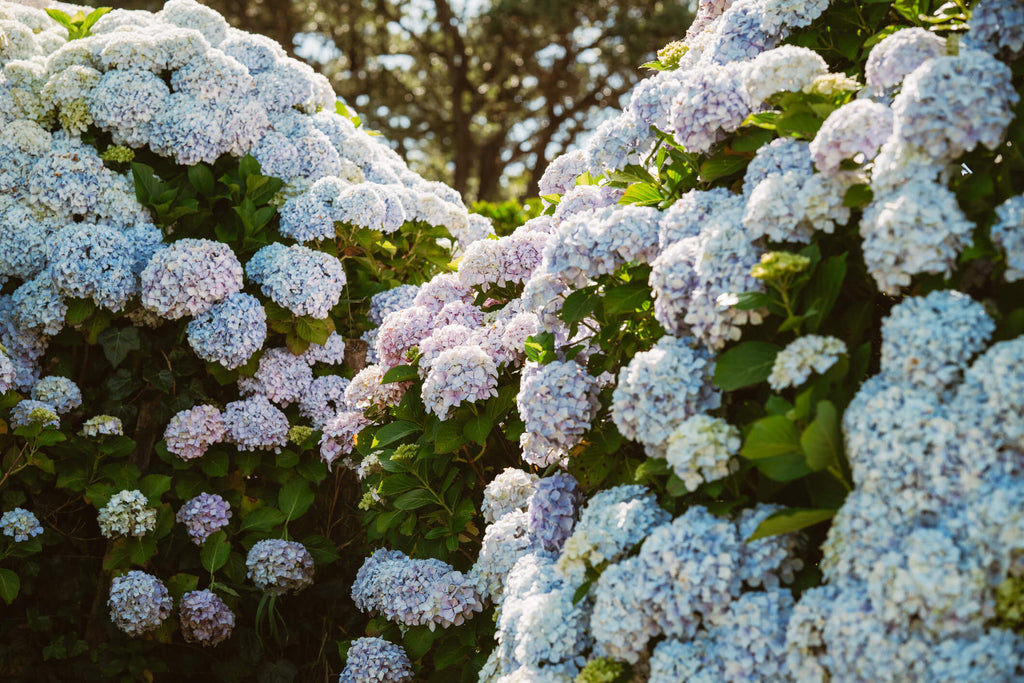 Spring Giveaway: Win a $1,000 store credit!